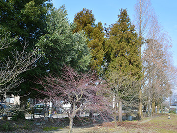 富山高校 太郎丸の杜